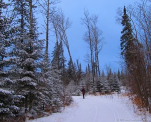 Nordic skiing in Northern Minnesota (January)