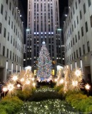The tree at Rockefeller Center