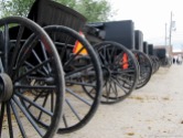 Row of Amish buggies in Mt. Hope