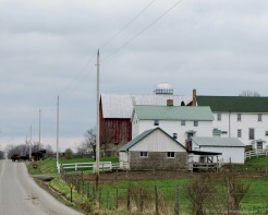 Amish farmer heading home