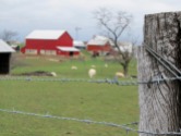 Amish farmhouse in Ohio