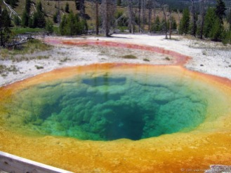 Yellowstone's Morning Glory Pool